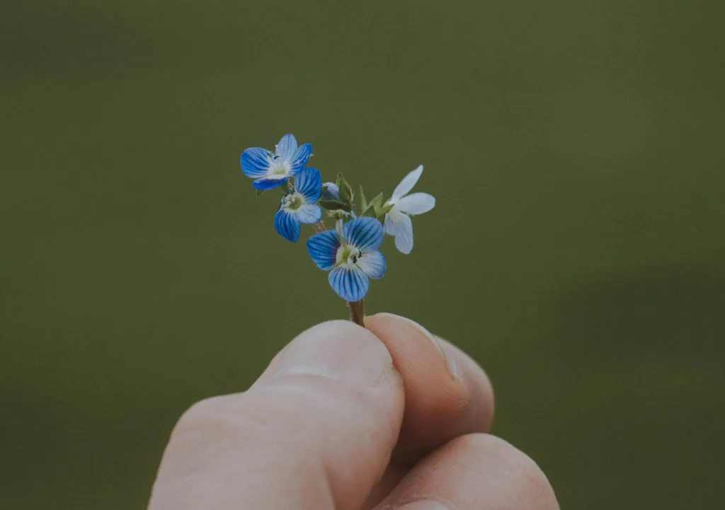 forget me not tattoo meaning